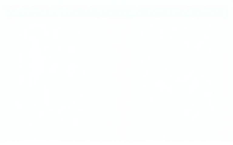 Grafico timeline implementazione